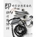 LionROCK 雙解碼耳擴 DAC & AMP iPhone TypeC USB 全支援
